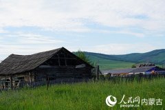 <b>恩和乡那成片的油菜花茵绿草、蓝天白云相辉映</b>